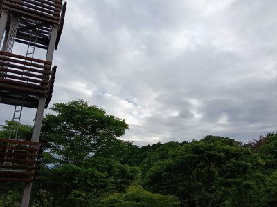 IMG20260527174320