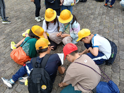 IMG20260528093331